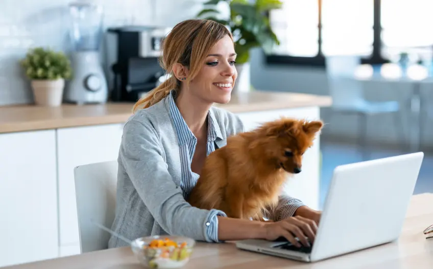 Légy sikeres egyéni vállalkozóként